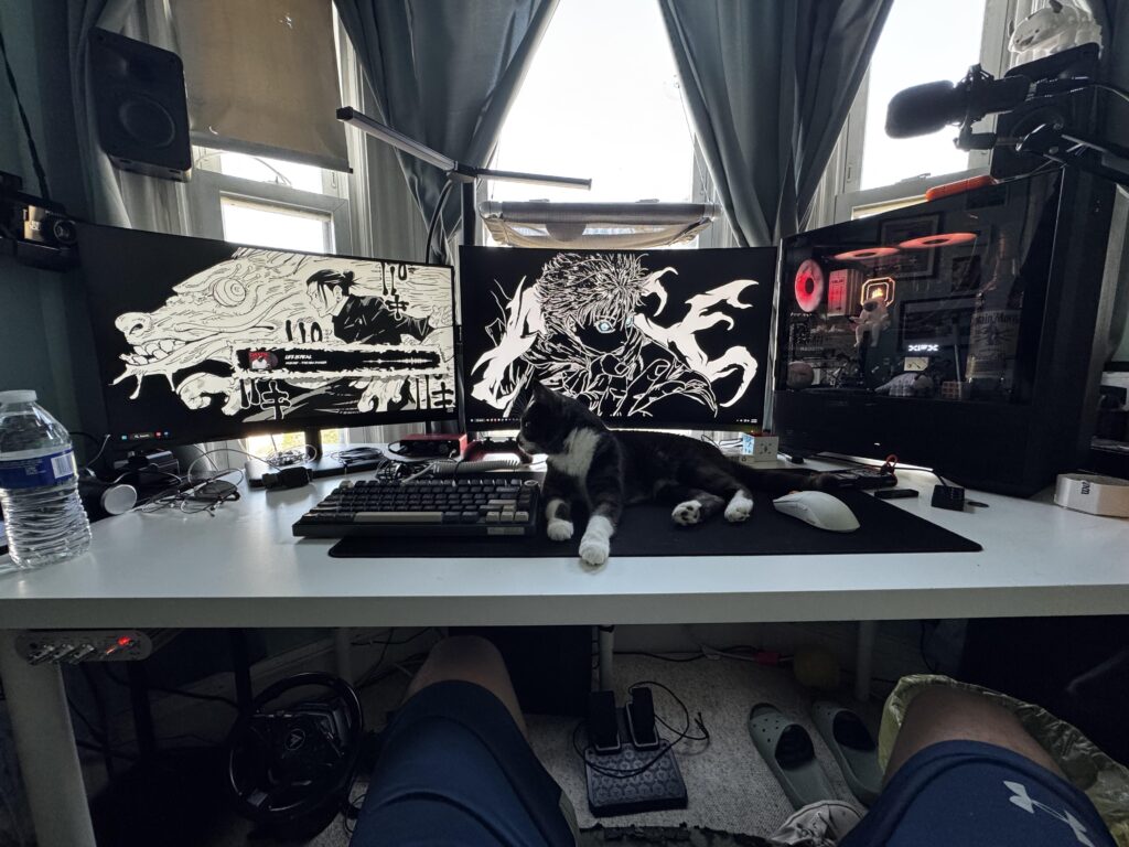 My expensive cat bed battlestation (see description for more pics)