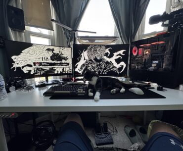 My expensive cat bed battlestation (see description for more pics)