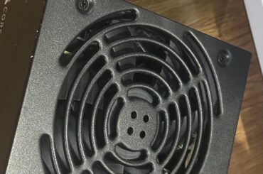 A lizard killed my brother’s power supply