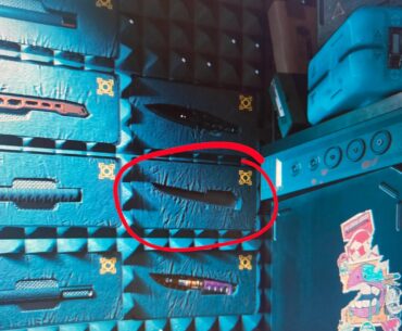 Does anyone know what these are??