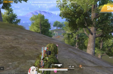 Couple of Snipes