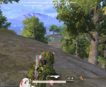 Couple of Snipes