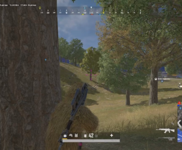 Cant Go Wrong With The Lynx AMR.