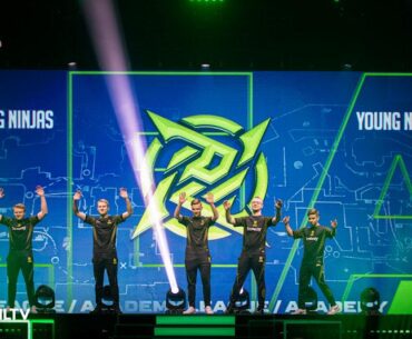 Young Ninjas project put on hold