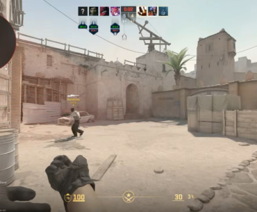 Invisible gun bug