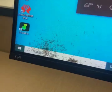 A woman found ants in her monitor