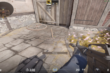 You can bonk yourself with the rake on Fachwerk