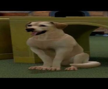THEY ADDED DOGS TO COUNTER STRIKE