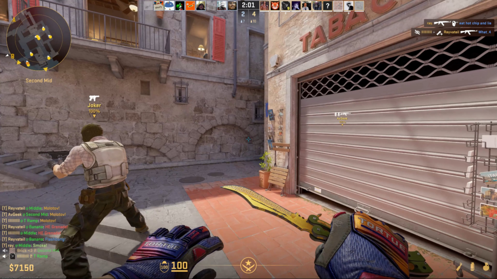 Dang ol chicken gone went and blocked my awp