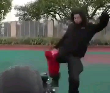 Spherical Police Robot