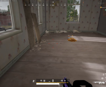 She knew I had a DMR only so brought me the loot.