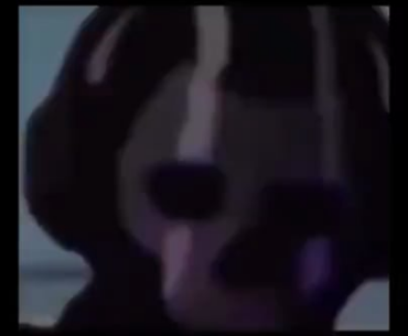CS2 players first time playing valorant