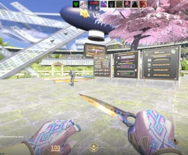 Current Knife vs Wanted Knives