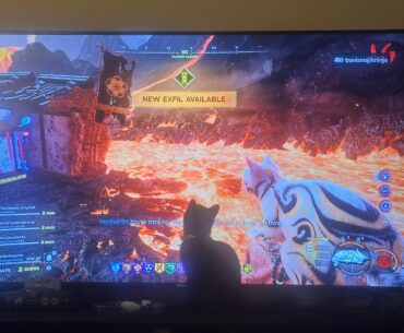 Y’all remember the Corgi that didn’t like Brutus I posted years ago? I give you now, the cat with mixed feelings about the Nekomancer.