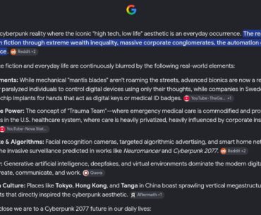 When i search up cyberpunk irl: