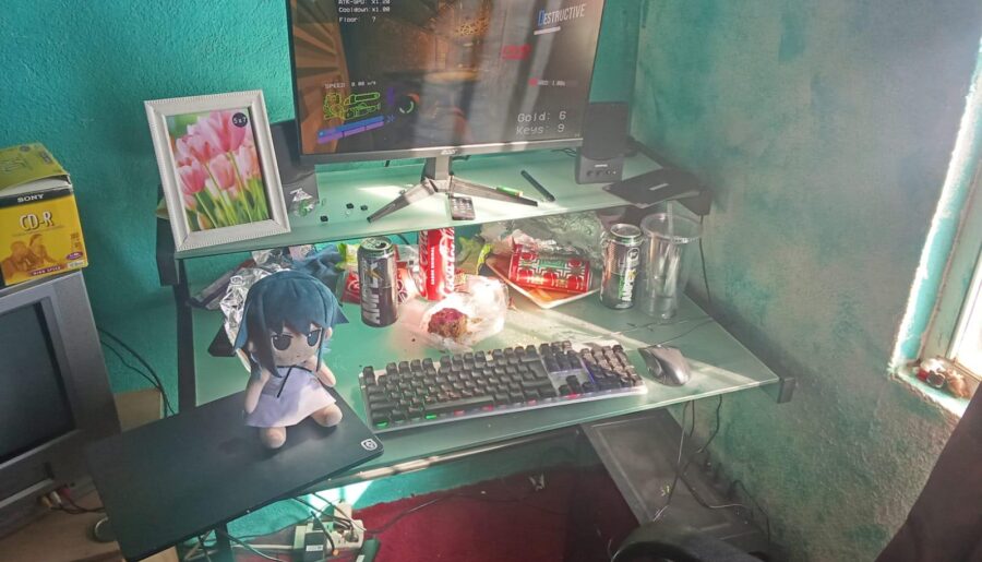 I am a gaming god and also desktop linux sucks and i discovered this first hand
