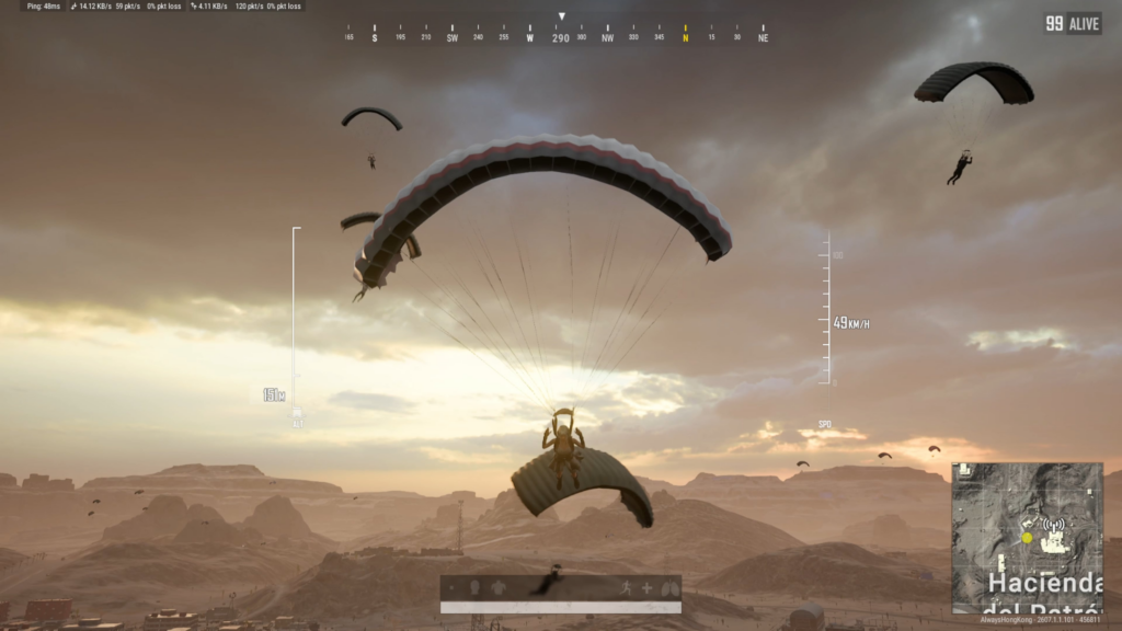 Hacienda goose chase