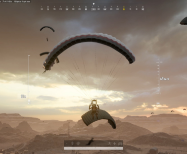 Hacienda goose chase