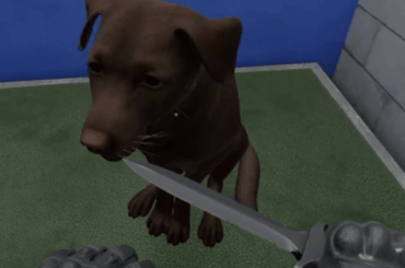 DOGGGIEEEEEE