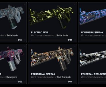 What's your opinions on this set of challenges in warzone?