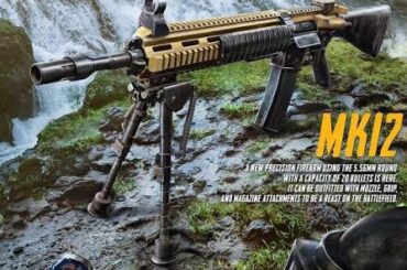 MK12 bipod should be used in windows too