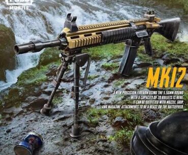 MK12 bipod should be used in windows too