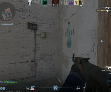 Magixx "graffiti" blocked an AK headshot and propably lost us this round