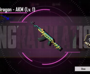 First premium crate