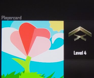 [BO2] giving players a reprieve from the constant racist and phallic emblems by making a nice one