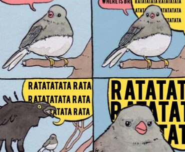 RATATATATATATATATA 🫠