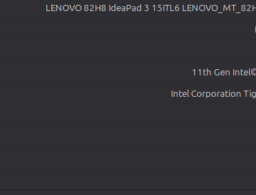 cs2 not being playable on linux mint
