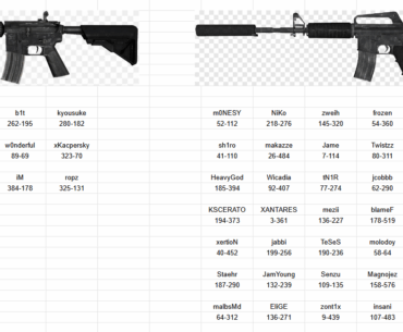 Which CT rifle do pros prefer in 2026?