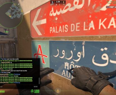 Vac Live in Action