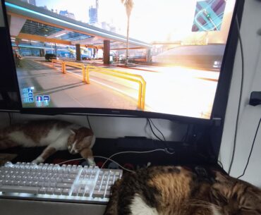 Cyberpunking with my chooms