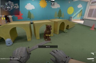 CS_Shelter has dogs as hostages!