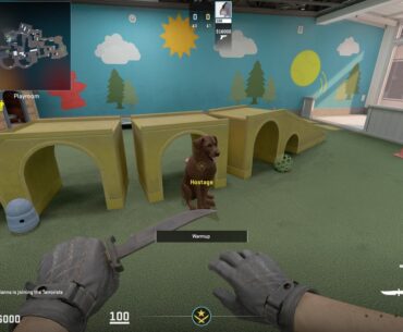 CS_Shelter has dogs as hostages!