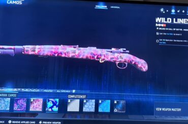 Hey there, my kar98k had skipped a camo and I cant seem to get it active? Anyone know whats doing on?