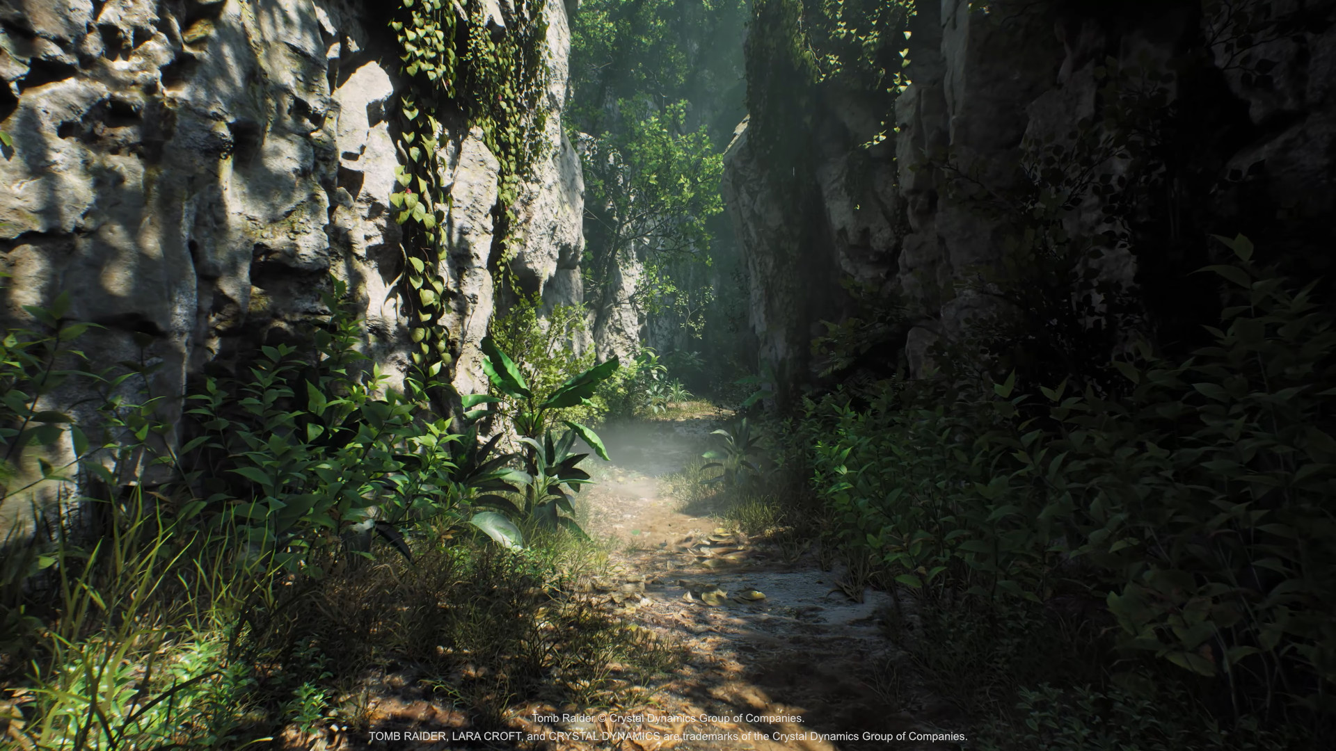 Tomb Raider Legacy of Atlantis, Crystal Dynamics, Flying Wild Hog, Amazon Game Studios
