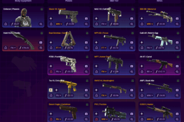 Opinions On My Skins?
