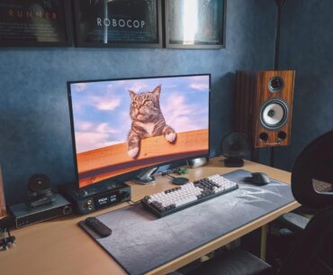 CATtlestation
