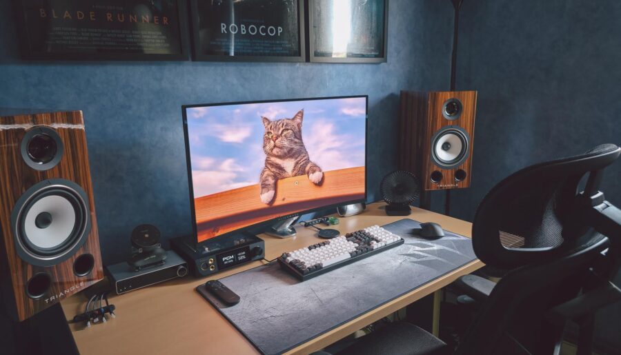 CATtlestation