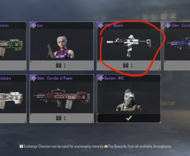 I regret not claiming this, it has a custom iron sight!