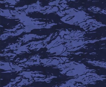 Which one was the better tiger camo? [COD]