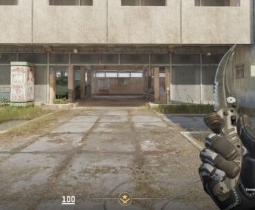 Which knife and glove combination looks better?