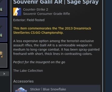 Trade rare dreamhack2013 galil sage spray