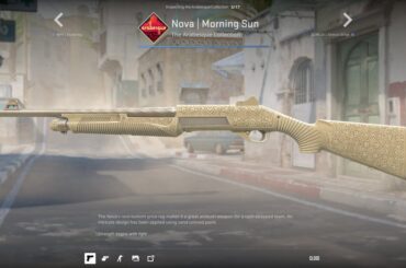 today my first skin got added to counterstrike! im so happy to be part of the game <3 dreams really can come true!!! Thanks alot valve!!