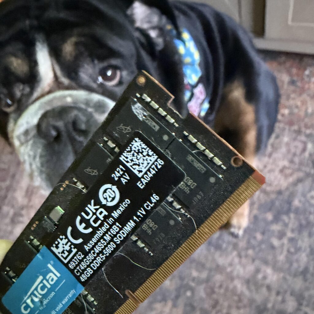 My dog ate my 96GB Crucial RAM kit. This is the aftermath.