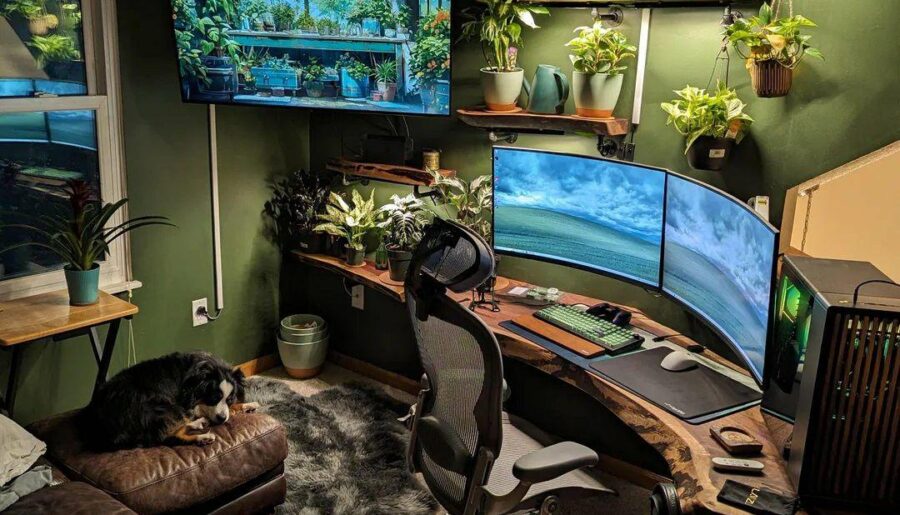 Corner of calm.