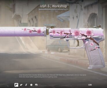 Creative Gun Skin USP