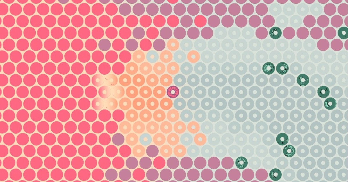 What Surrounds Us will make you think a lot about circles What Surrounds Us will make you think a lot about circles